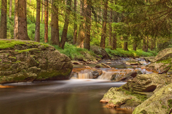Schwarzwassertal