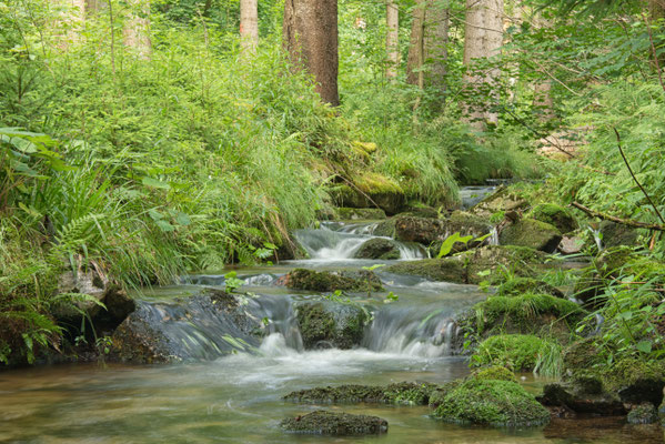 kleine Bockau im Erzgebirge 2019