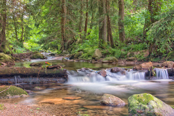 große Bockau im Erzgebirge 2019