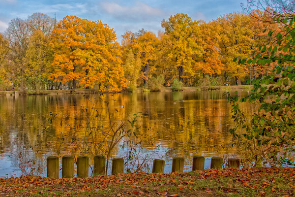 Stadtpark Planitz 04.11.2018