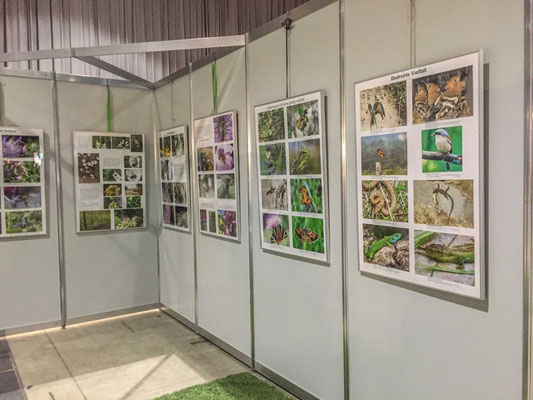 2019 Nabu Freiburg