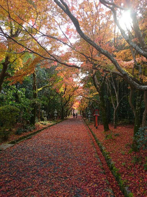 光明寺。西山浄土宗総本山。