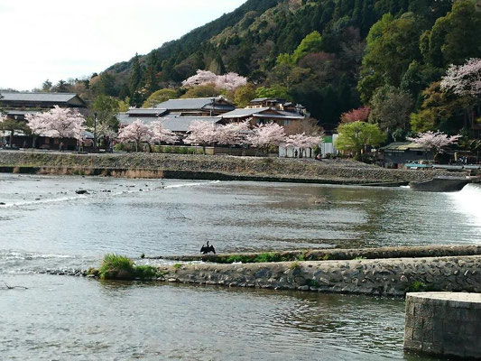 大堰川ダム