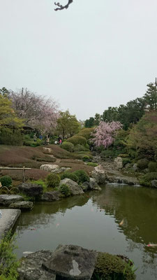 退蔵院「余香苑」