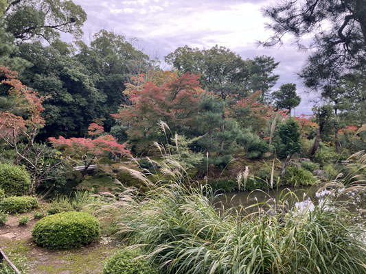 庭園「芙蓉池」