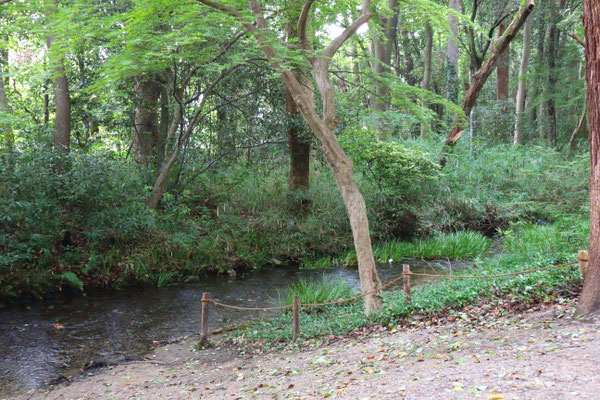 奈良の小川