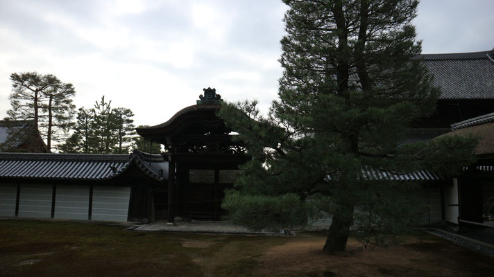 大本山