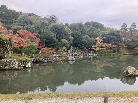 庭園「曹源池」