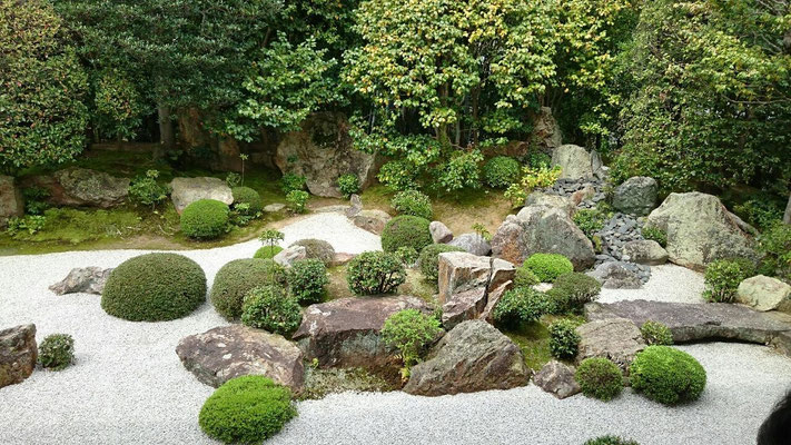 退蔵院枯山水庭園「元信の庭」