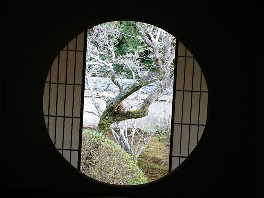 真言宗泉涌寺派 雲龍院