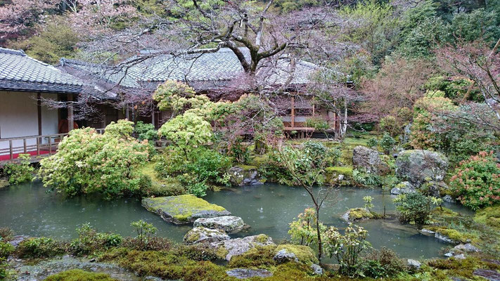 モリアオガエル 生息の池