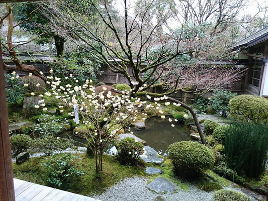 蓮華寺  鶴亀の庭