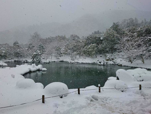 雪舞う曹源池