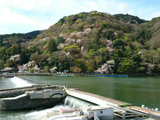  嵐山・岩田山 