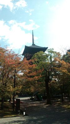 京のシンボル 五重の塔とく紅葉