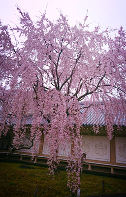 三宝院