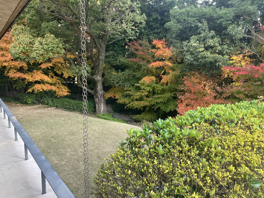 京都観光タクシー 永田信明