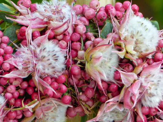 Pfefferkranz mit Capblüten