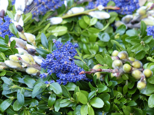 Buchsbaumkranz mit Weidenkätzchen und Lavendelblüten