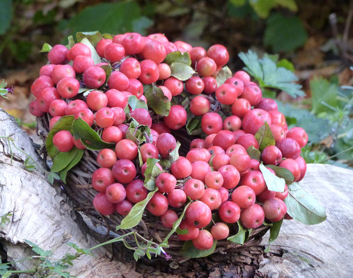 Zieräpfel auf Weinrebenkranz