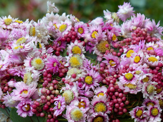 Handgebunder Kranz mit Rhodantheblüten in hellrosa und rosa Pfefferbeeren