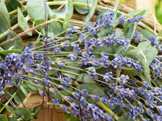 Weinrebenkranz mit Eucalyptus und Lavendel