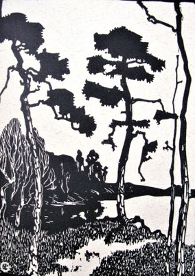 Kiefern am Grunewaldsee in Berlin (I), Holzschnitt, 23 x 16,5, l. u. monogrammiert, Privatbesitz Werder, WV 0039