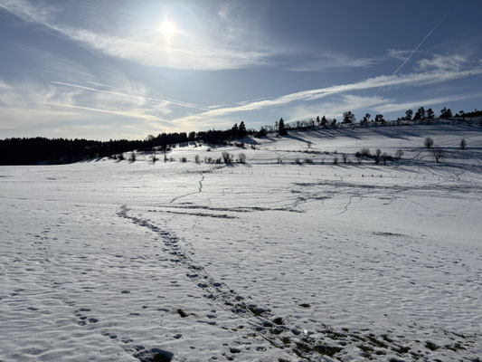 Wanderung rund um Usseln am 12.2.2026