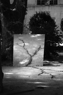 RE-GÉNÉRATION, 2021. Photographie au miroir Olli Berry