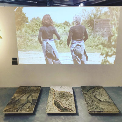 Vue de l'exposition "Aux origines, la Camargue", Musée de la Camargue, 2021