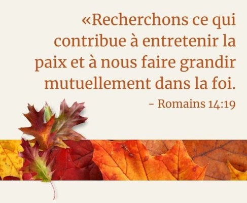 Recherchons ce qui contribue à entretenir la paix et à nous faire grandir mutuellement dans la foi.  « Que chacun de nous cherche à plaire à son prochain pour son bien, en vue de le faire grandir dans la foi. »