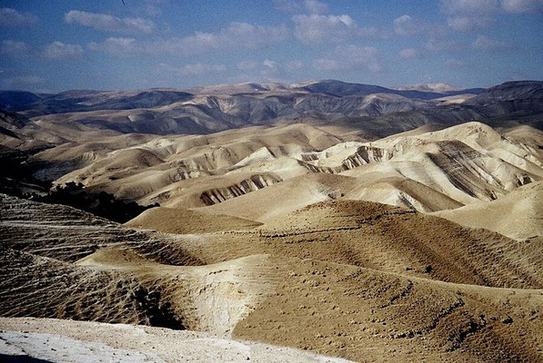 Le Nahal Hever (ou Nahal Zeʾ elim) est un oued (cours d'eau intermittent) long de 17 km du désert de Judée qui naît à proximité de Hébron et se jette dans la mer Morte entre Ein Gedi et Massada. 