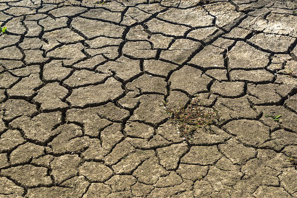 Les habitants de la Terre sont victimes de la violence et de l’avidité de l’homme. En 2020 et les humains sont encore victimes de guerres, de famines (plus de 800 millions de personnes souffrent de la faim), de catastrophes écologiques, de pauvreté...