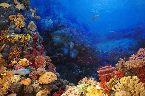 La mer Rouge a une longueur de 2000 km et une largeur de 300 km. On y trouve une profusion de vie sous-marine. C'est la mer Rouge qui a été traversée miraculeusement par Moïse après qu'elle se soit fendue en deux.