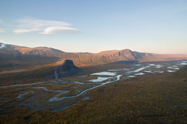 The Rapa river delta bathed in evening light, highlighted by fantastic autumnal birch trees of Sarek national park, Swedish Lapland.