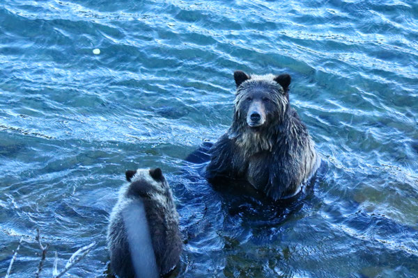 mit einem jungen am fischen