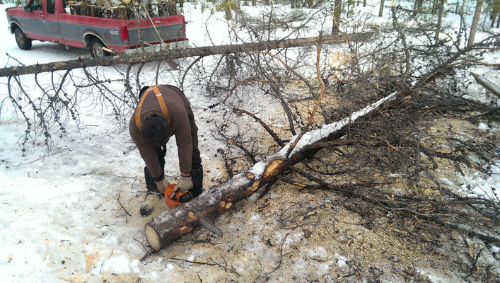 Feuerholz damits auch reicht für den Winter