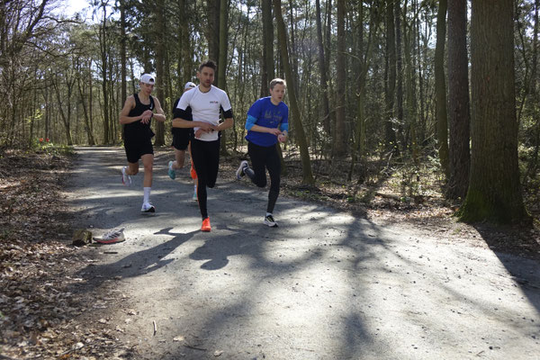 Schneller 400er im Wald