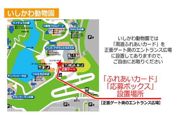 いしかわ動物園　応募ボックス設置場所