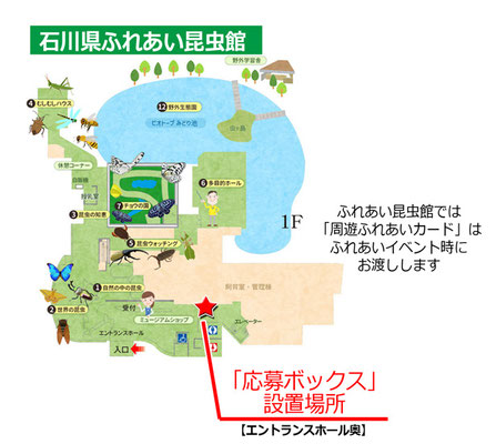 ふれあい昆虫館　応募ボックス設置場所