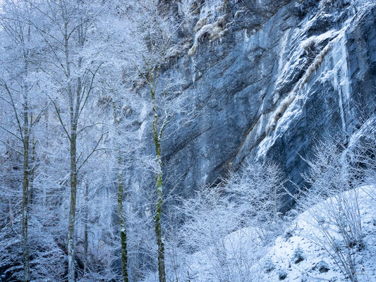 Cold Winter Morning