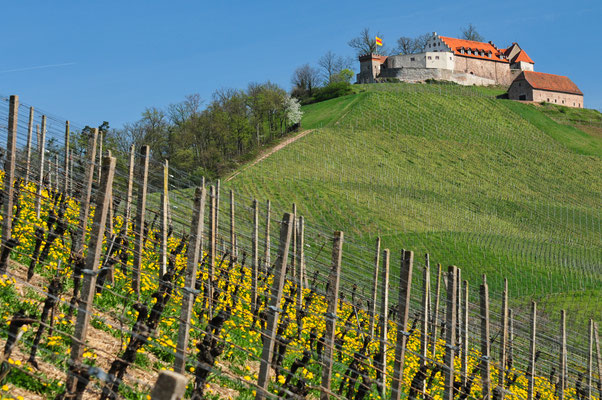 Schloss Staufenberg bei Durbach