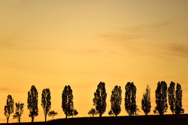 Abendspaziergang bei Stupferich