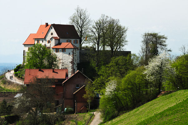 Schloss Staufenberg bei Durbach