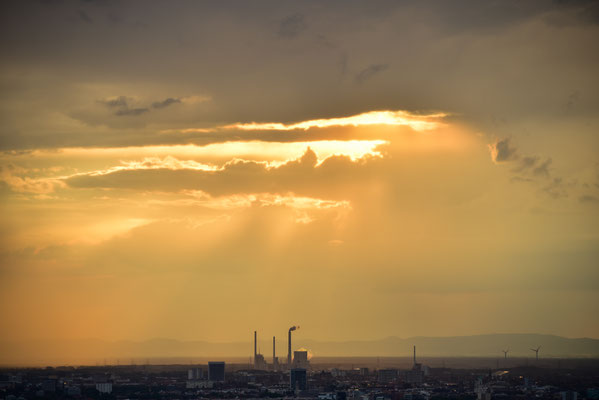 Auf dem Turmberg I