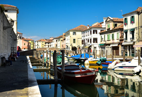 Chioggia II