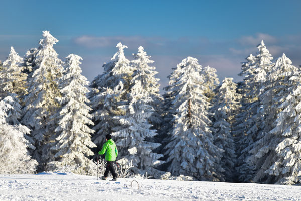 Winterwanderung auf dem Schliffkopf