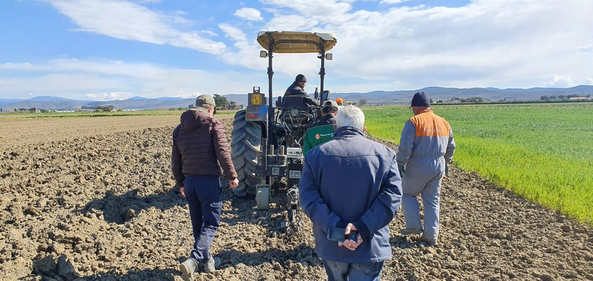 alcune fasi dell'attività di mappatura, digitalizzazione e di trapianto