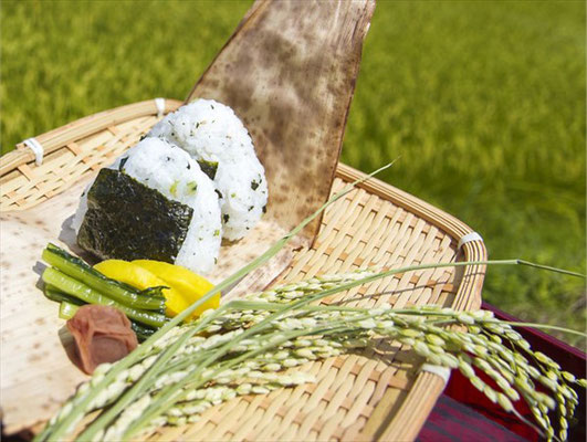 ヒノヒカリをもっと美味しく！ヒノヒカリと相性のよいおかずは？