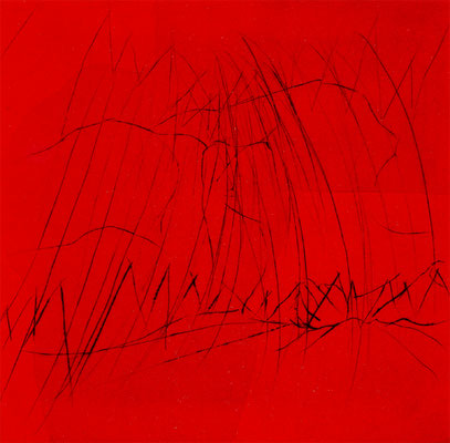 Rote, 37/37 cm, Radierung